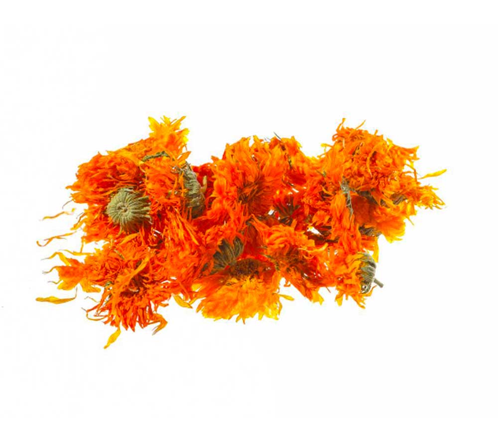 Calendula - Mappae | Medicinal and Aromatic Plants Pathways Across Europe